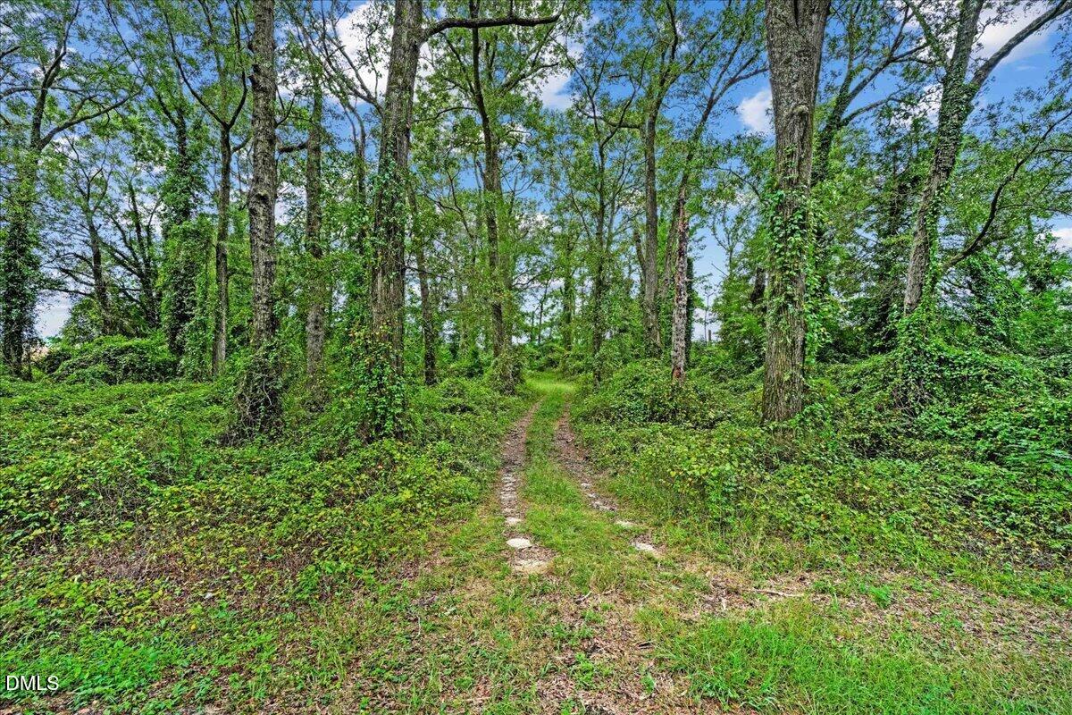 0 Holt Road Property Photo 9