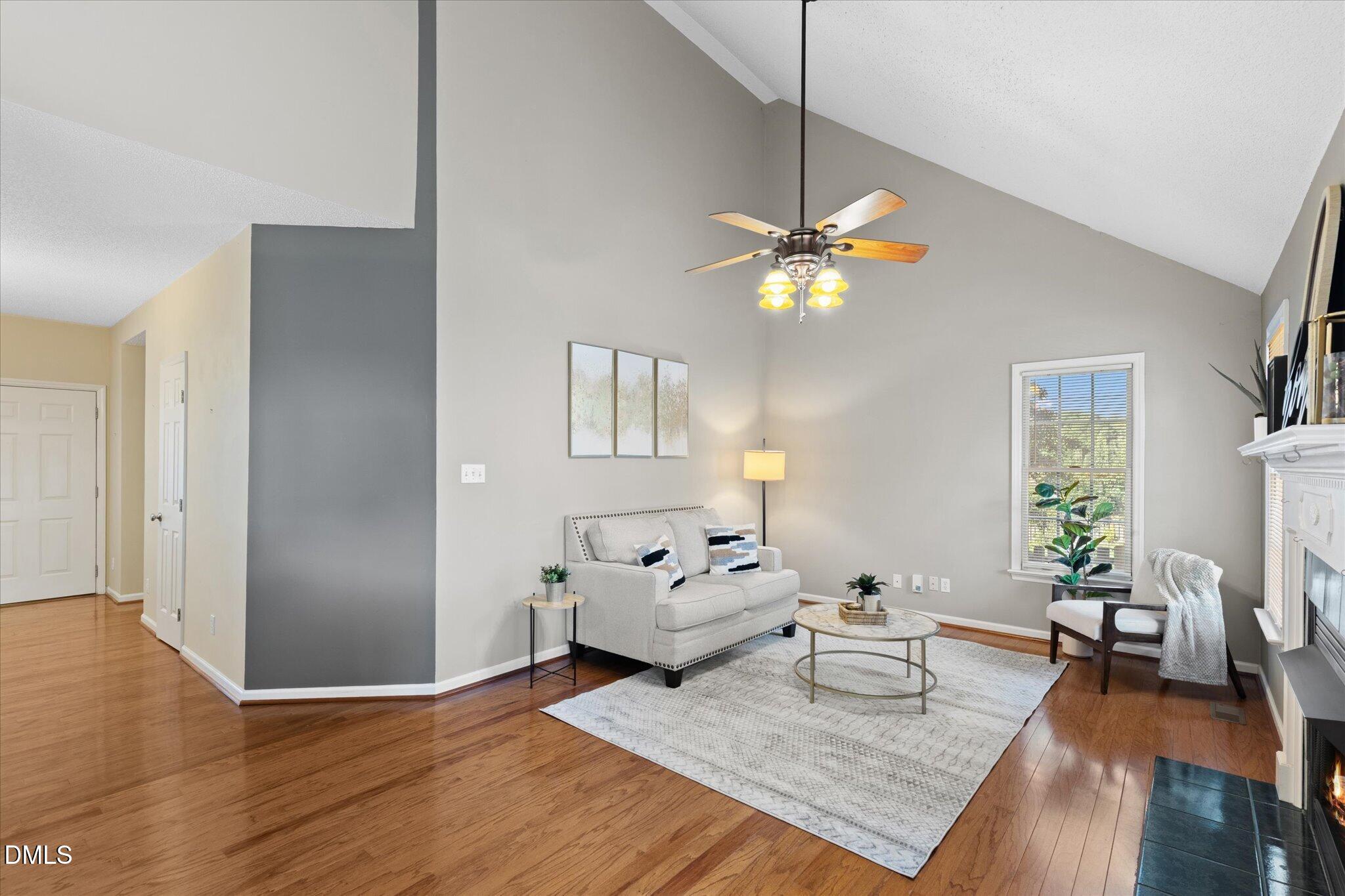 805 Natural Springs Court Property Photo 4