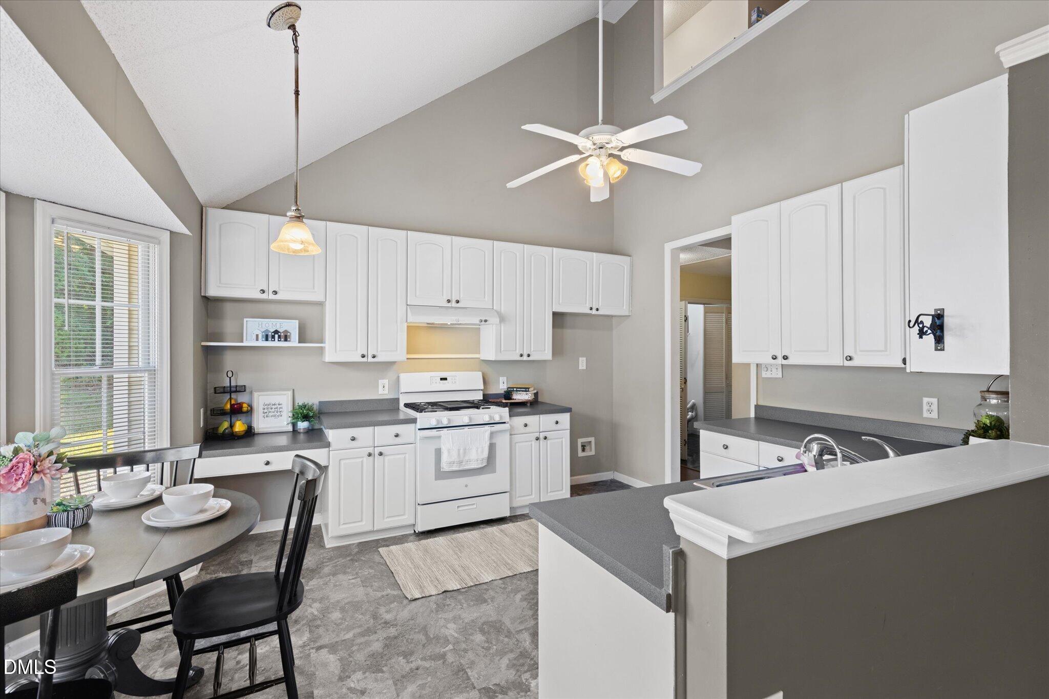 805 Natural Springs Court Property Photo 7