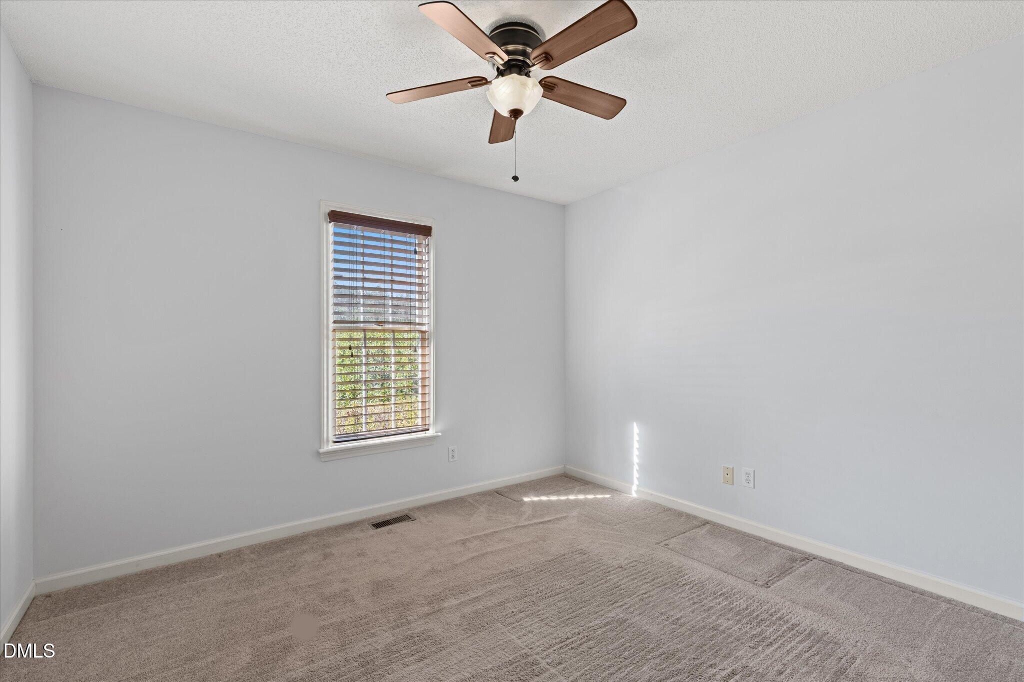 805 Natural Springs Court Property Photo 16