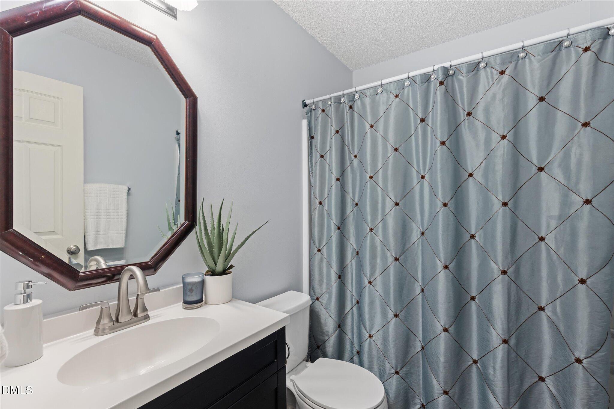 805 Natural Springs Court Property Photo 17