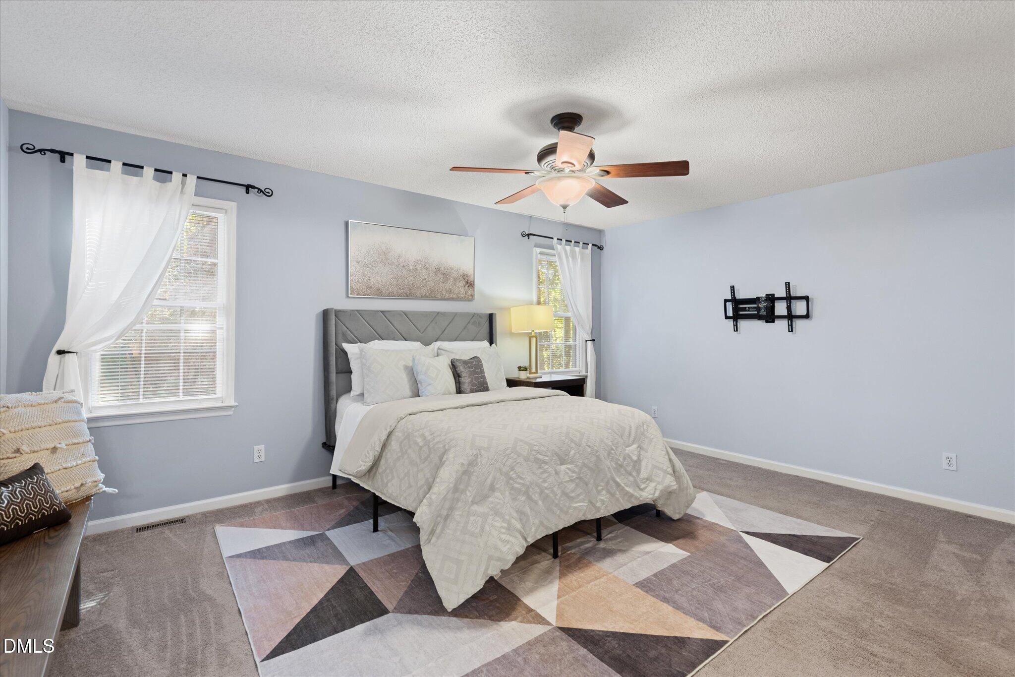 805 Natural Springs Court Property Photo 19