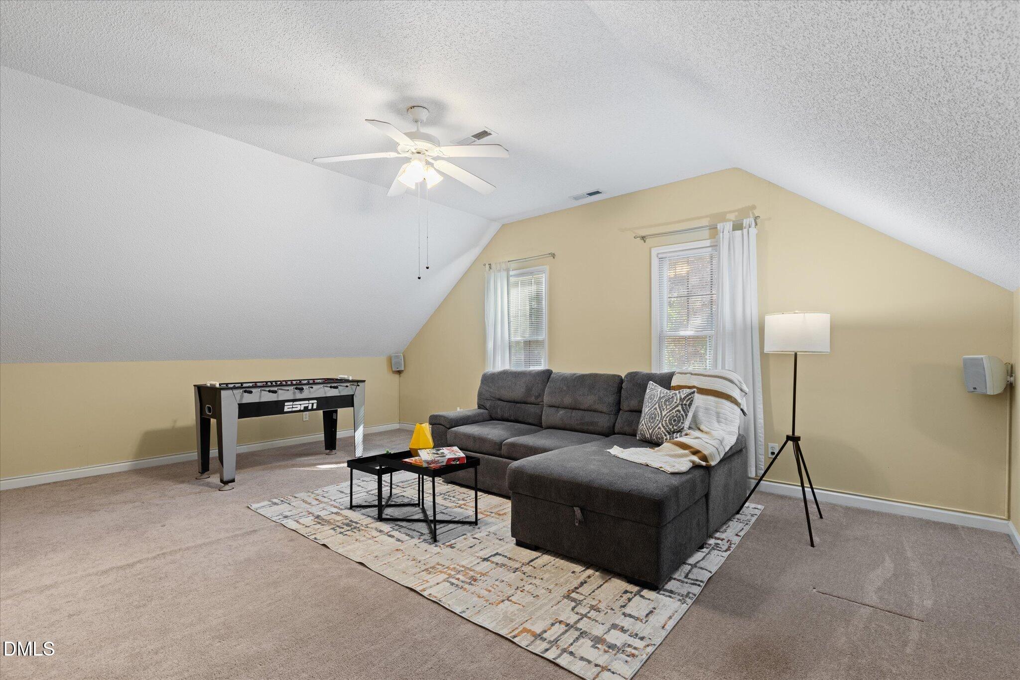 805 Natural Springs Court Property Photo 27