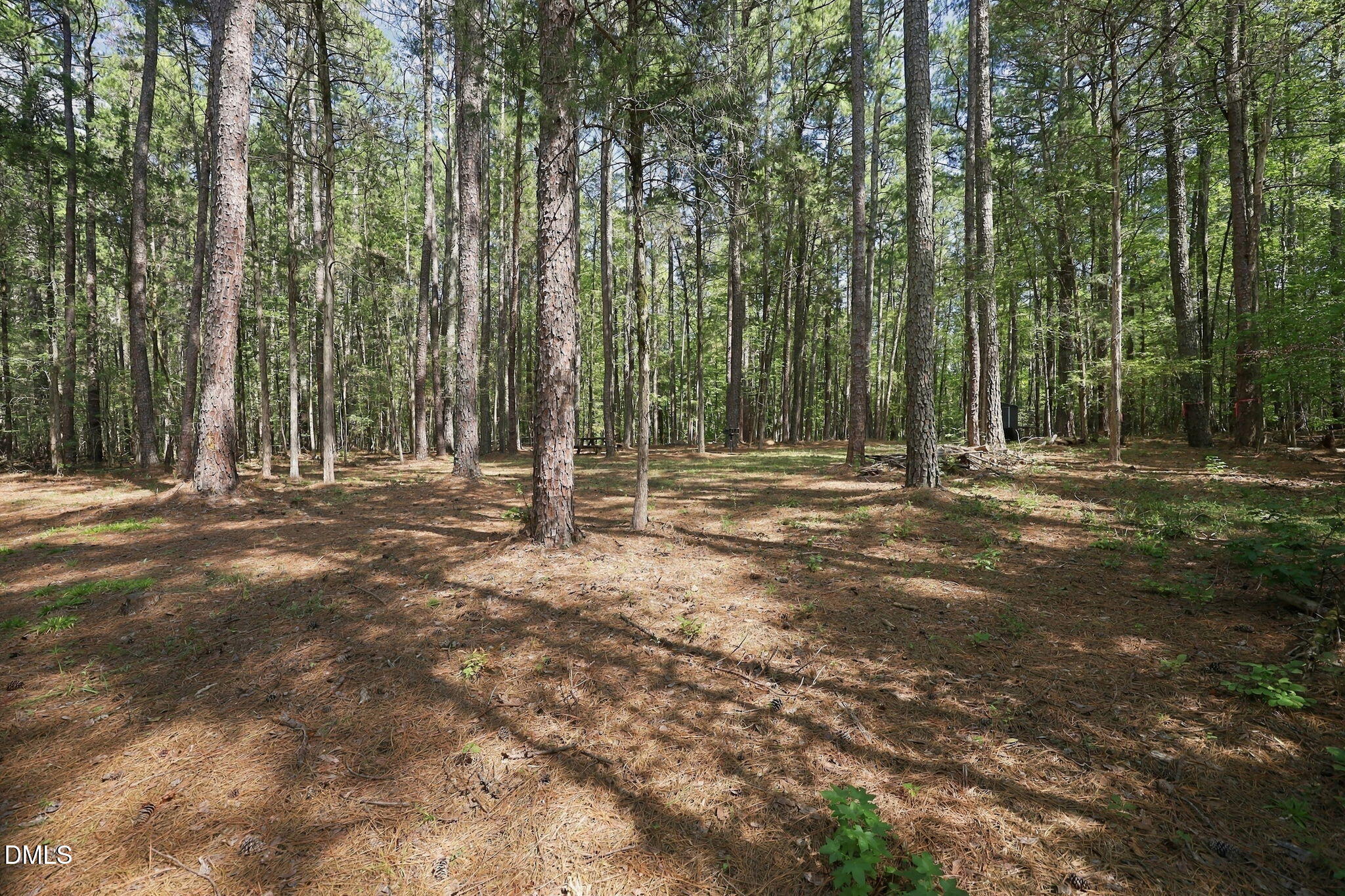 Lot 46 Pool Rock Plantation Lane Property Photo 6