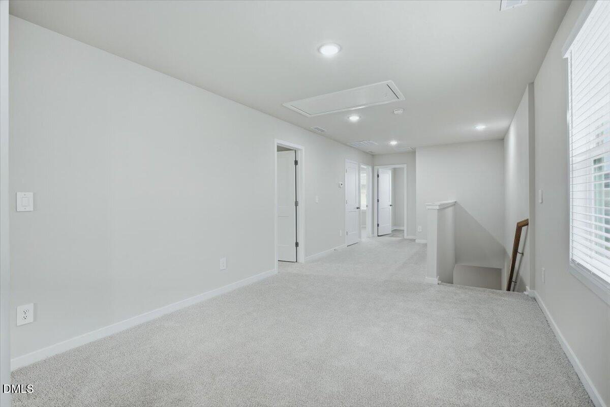 4100 Hazel Branch Way Property Photo 17