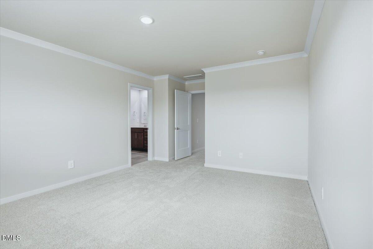 4100 Hazel Branch Way Property Photo 19