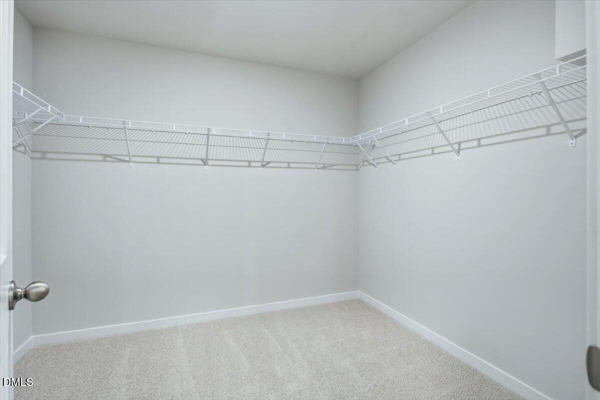 4100 Hazel Branch Way Property Photo 23
