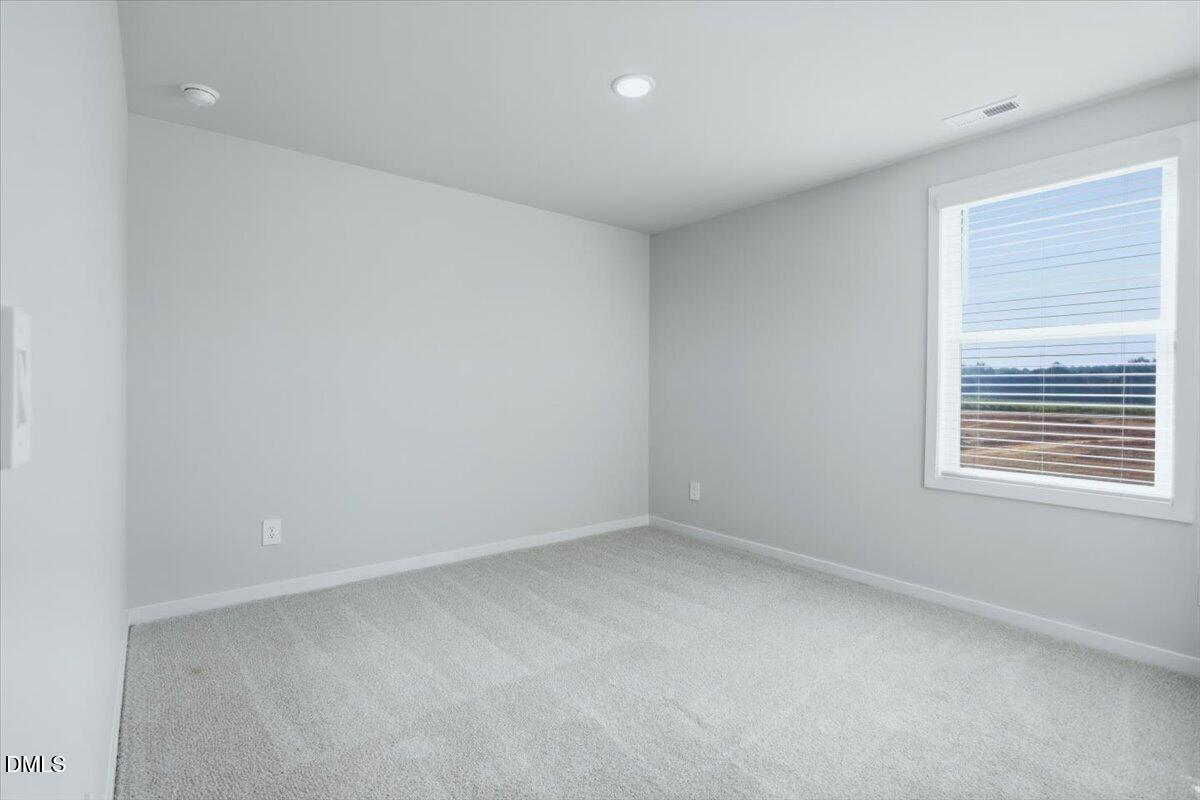 4100 Hazel Branch Way Property Photo 25