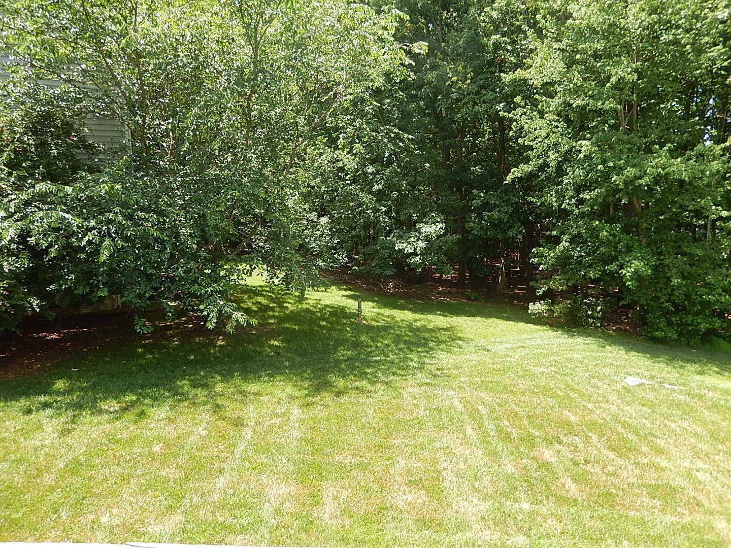 9801 Goodrum Court Property Photo 21
