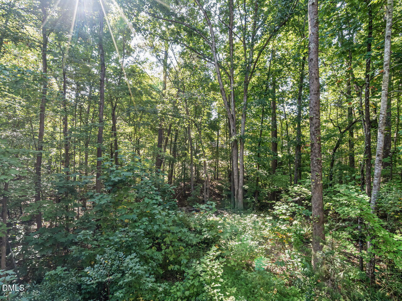 314 Bridgegate Drive Property Photo 31