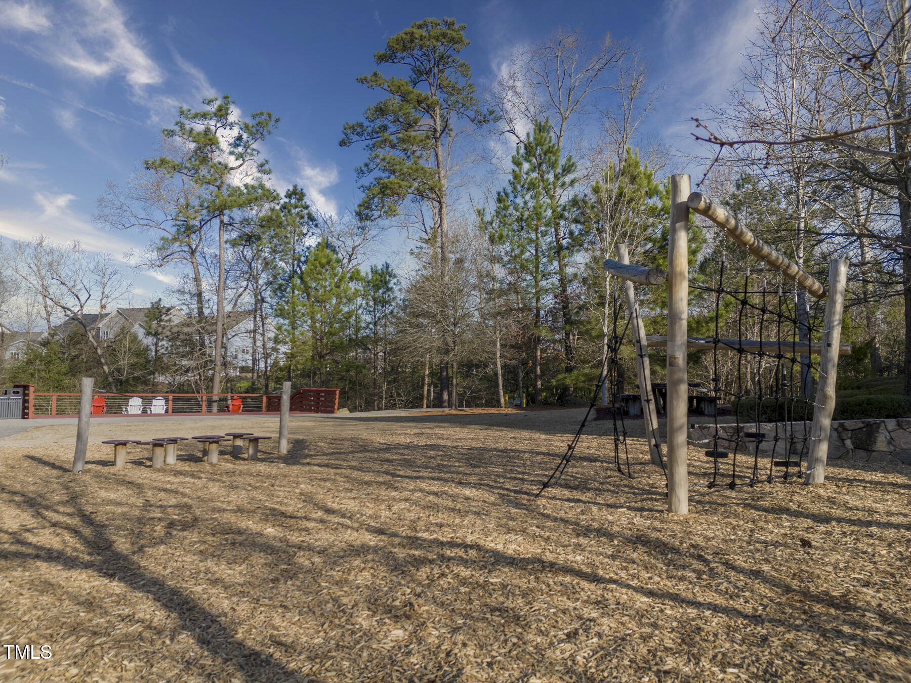 217 Tumbling River Drive Property Photo 67