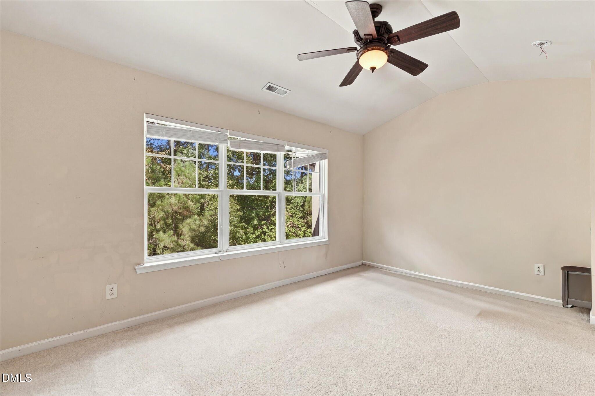 290 Linden Park Lane Property Photo 12