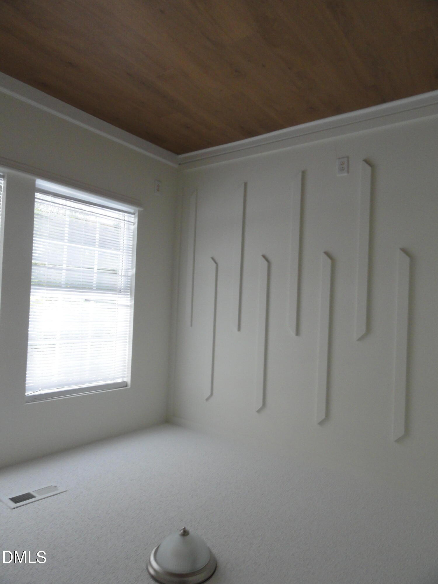 4213 Mardela Spring Drive Property Photo 17