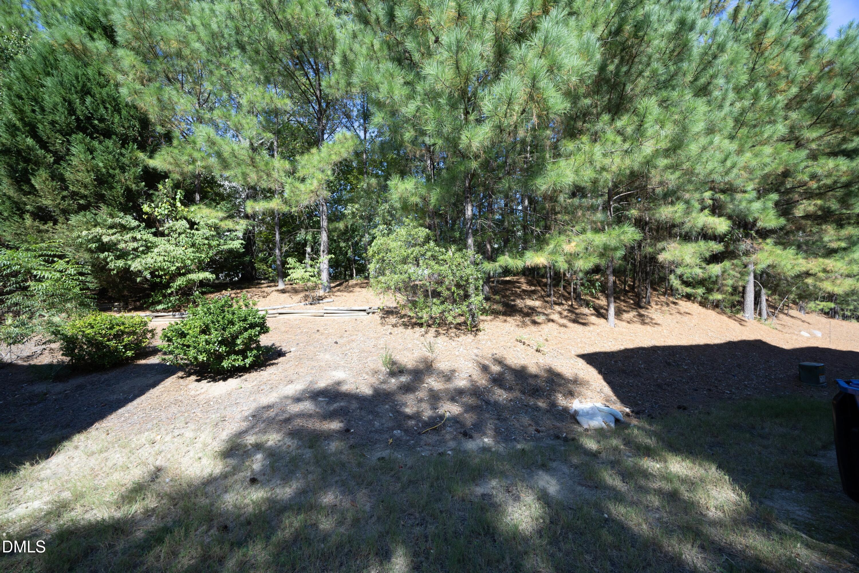 1331 Stone Manor Drive Property Photo 26