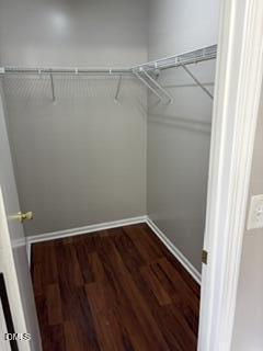 3452 Mackinac Island Lane Property Photo 20
