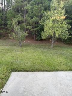 3452 Mackinac Island Lane Property Photo 24