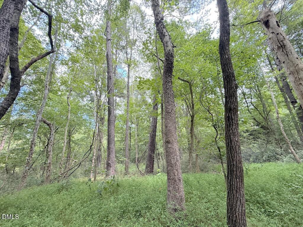 0 Laurel Ridge Road Property Photo 8