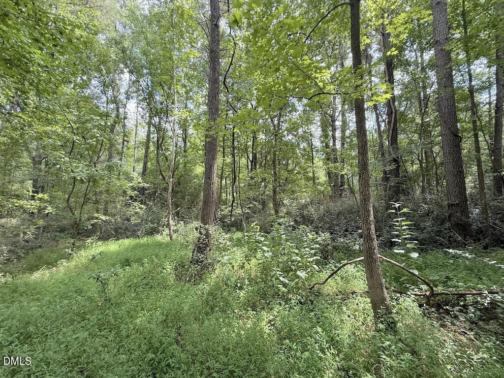 0 Laurel Ridge Road Property Photo 9