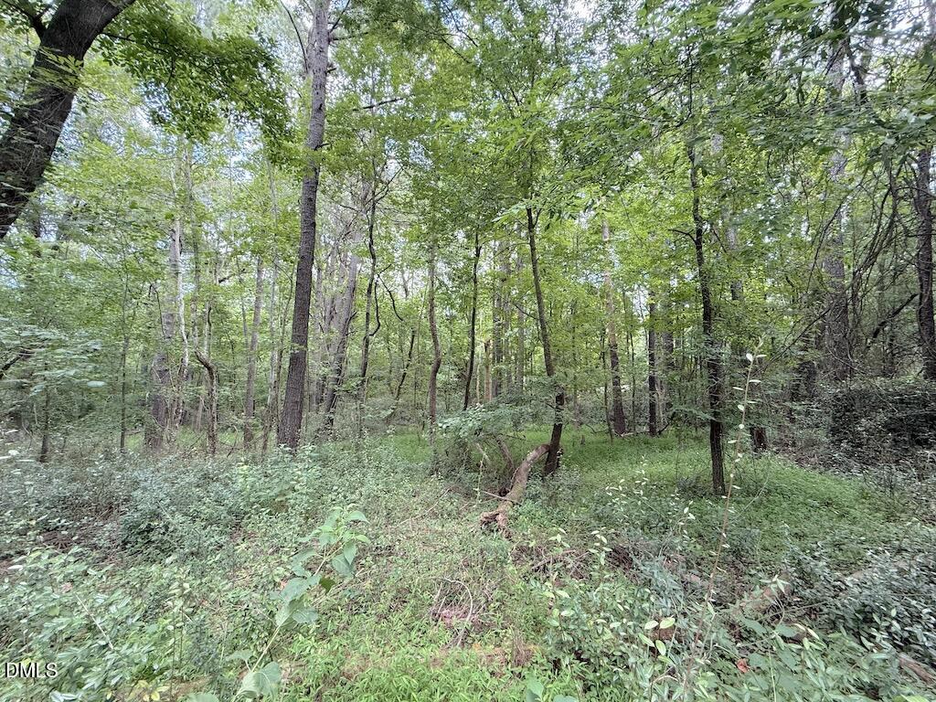 0 Laurel Ridge Road Property Photo 12