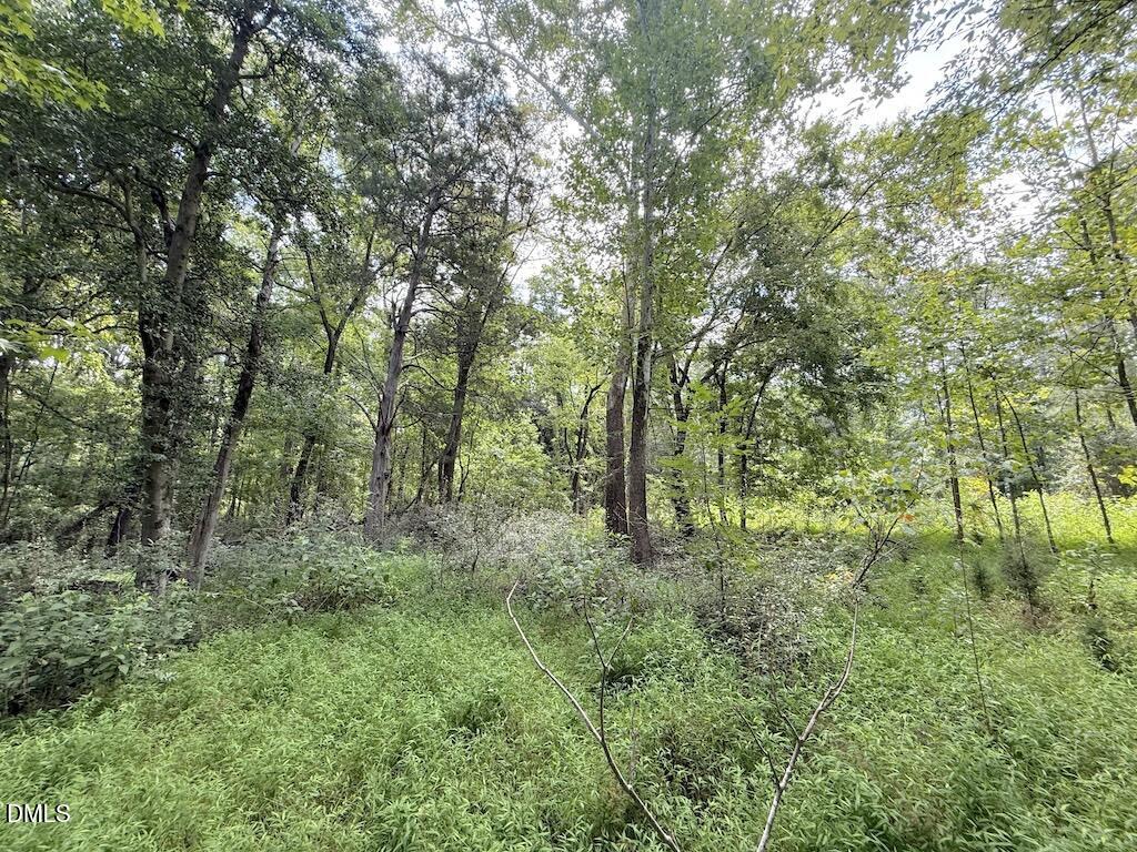 0 Laurel Ridge Road Property Photo 15