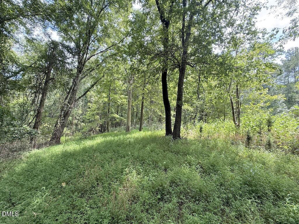 0 Laurel Ridge Road Property Photo 16