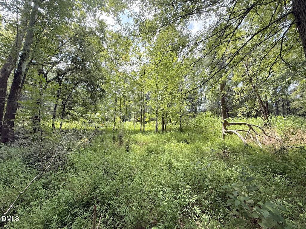 0 Laurel Ridge Road Property Photo 17