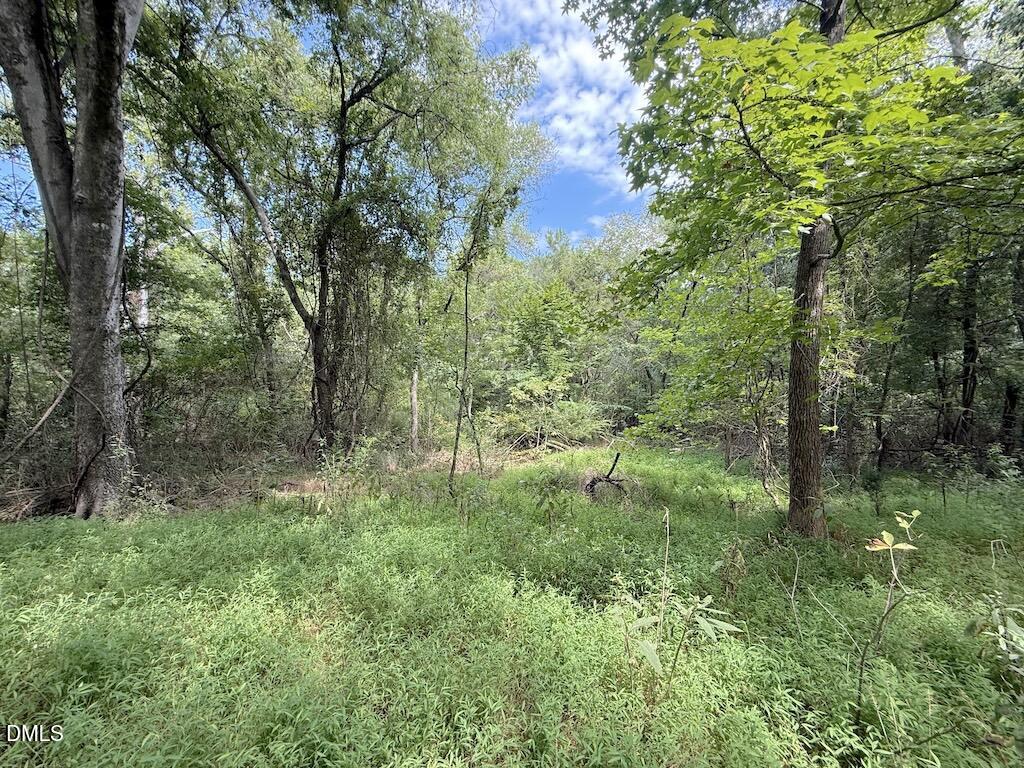 0 Laurel Ridge Road Property Photo 20