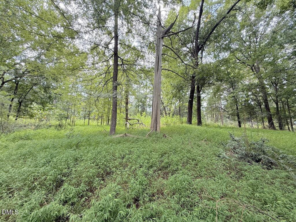 0 Laurel Ridge Road Property Photo 21