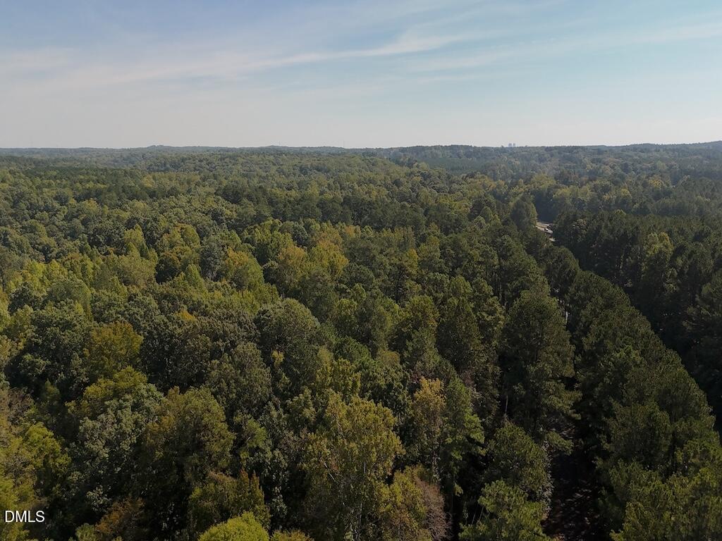 0 Laurel Ridge Road Property Photo 23
