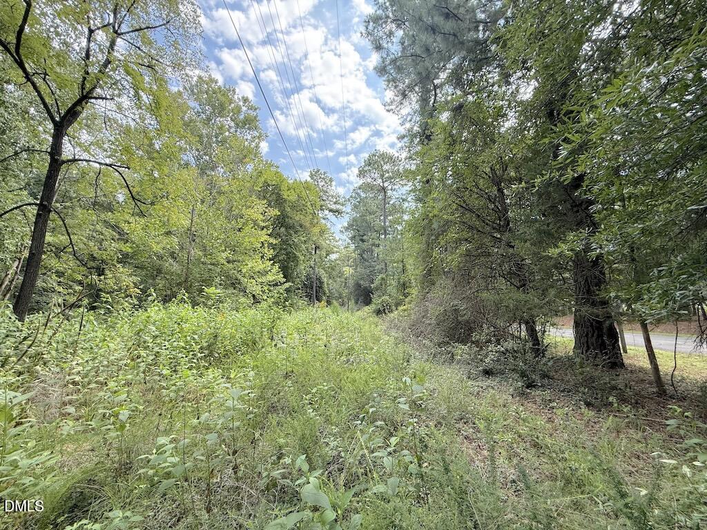 0 Laurel Ridge Road Property Photo 24