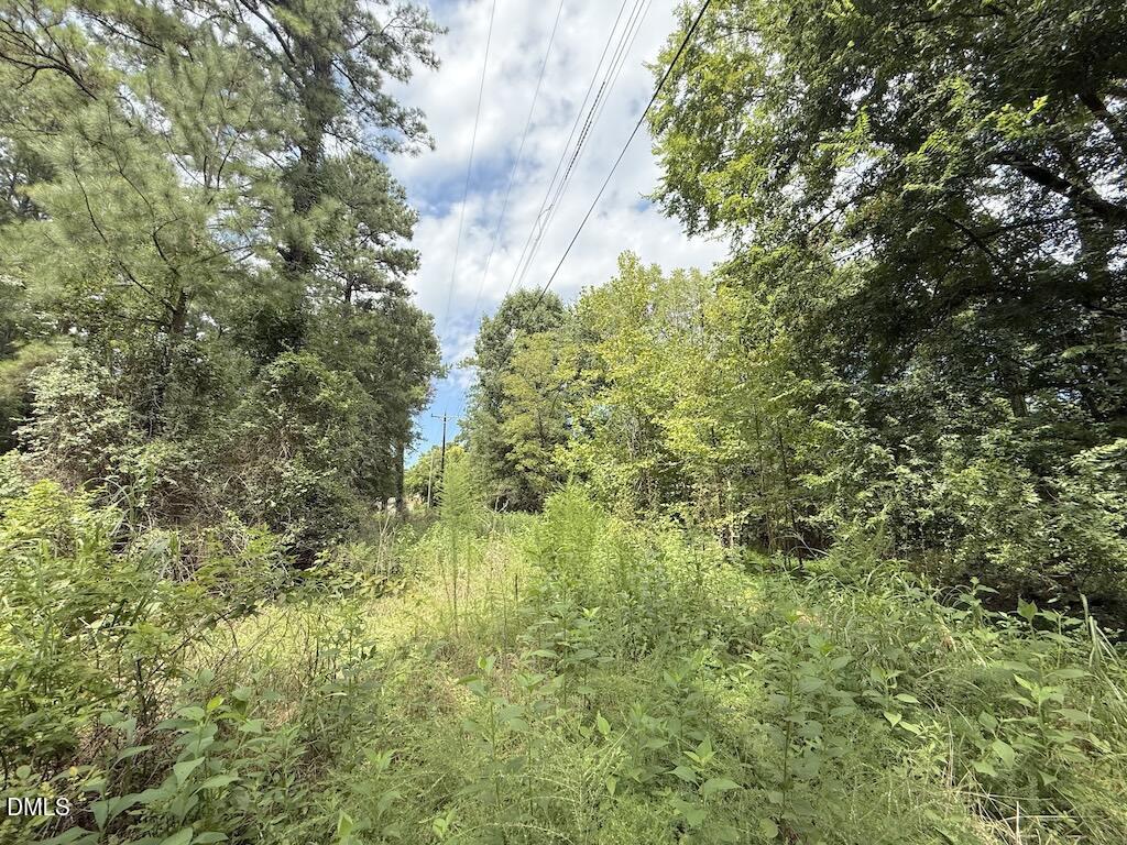 0 Laurel Ridge Road Property Photo 25
