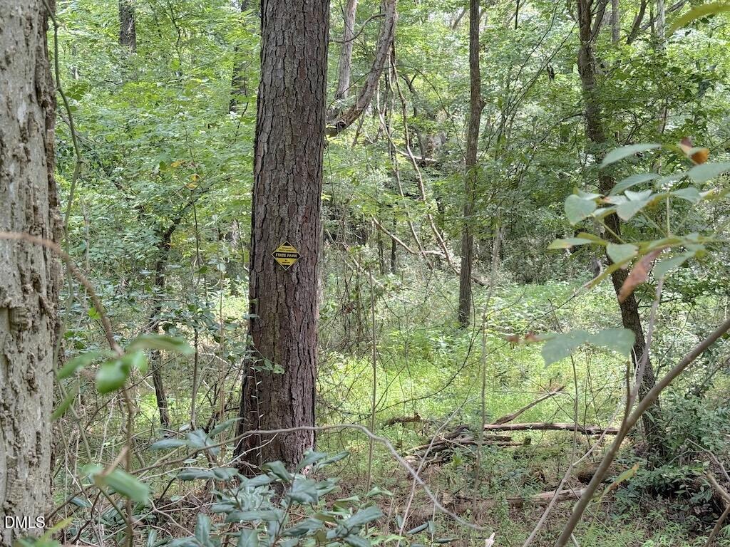 0 Laurel Ridge Road Property Photo 26