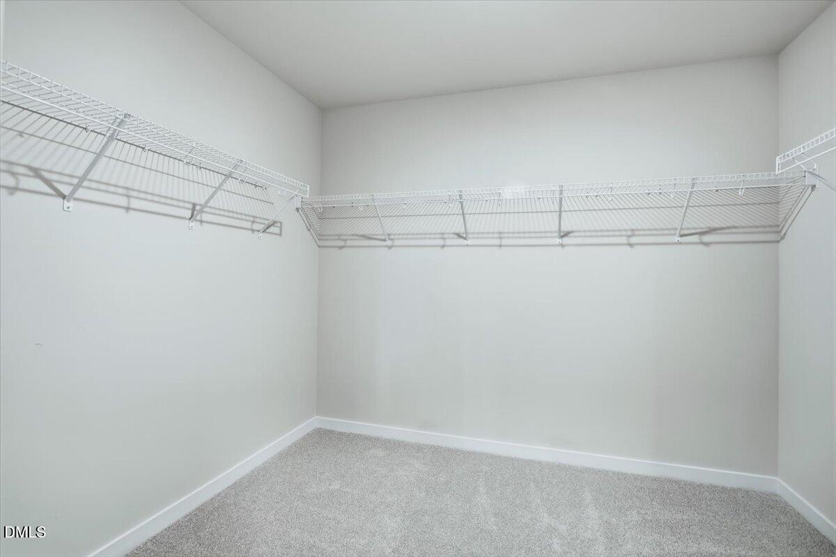 4112 Hazel Branch Way Property Photo 23