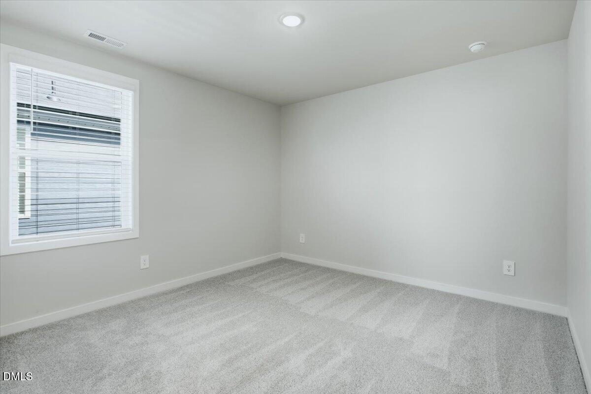 4112 Hazel Branch Way Property Photo 24