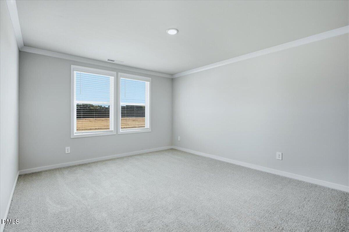 4112 Hazel Branch Way Property Photo 30