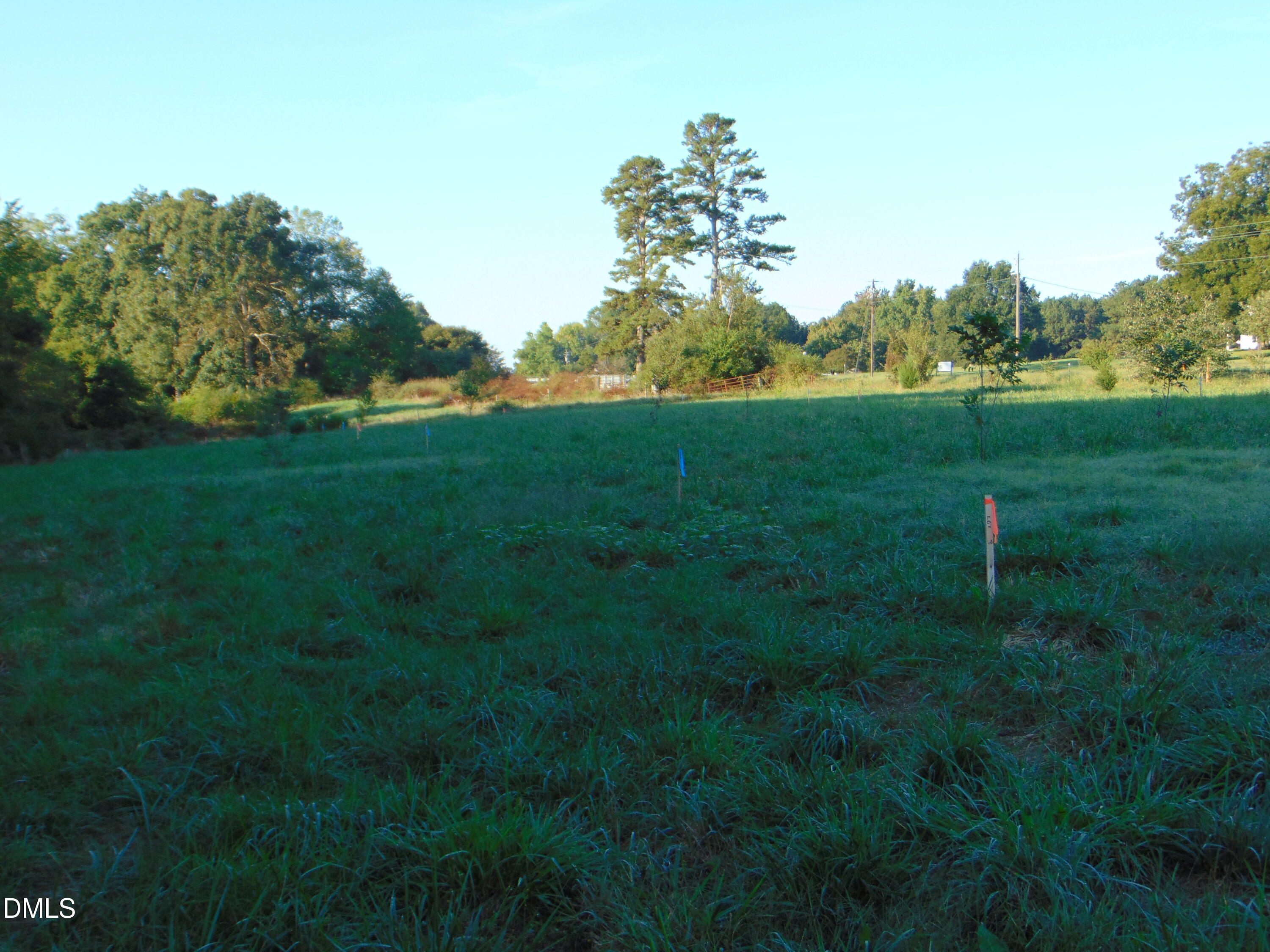 0 County Home Lot 1 Road Property Photo 12
