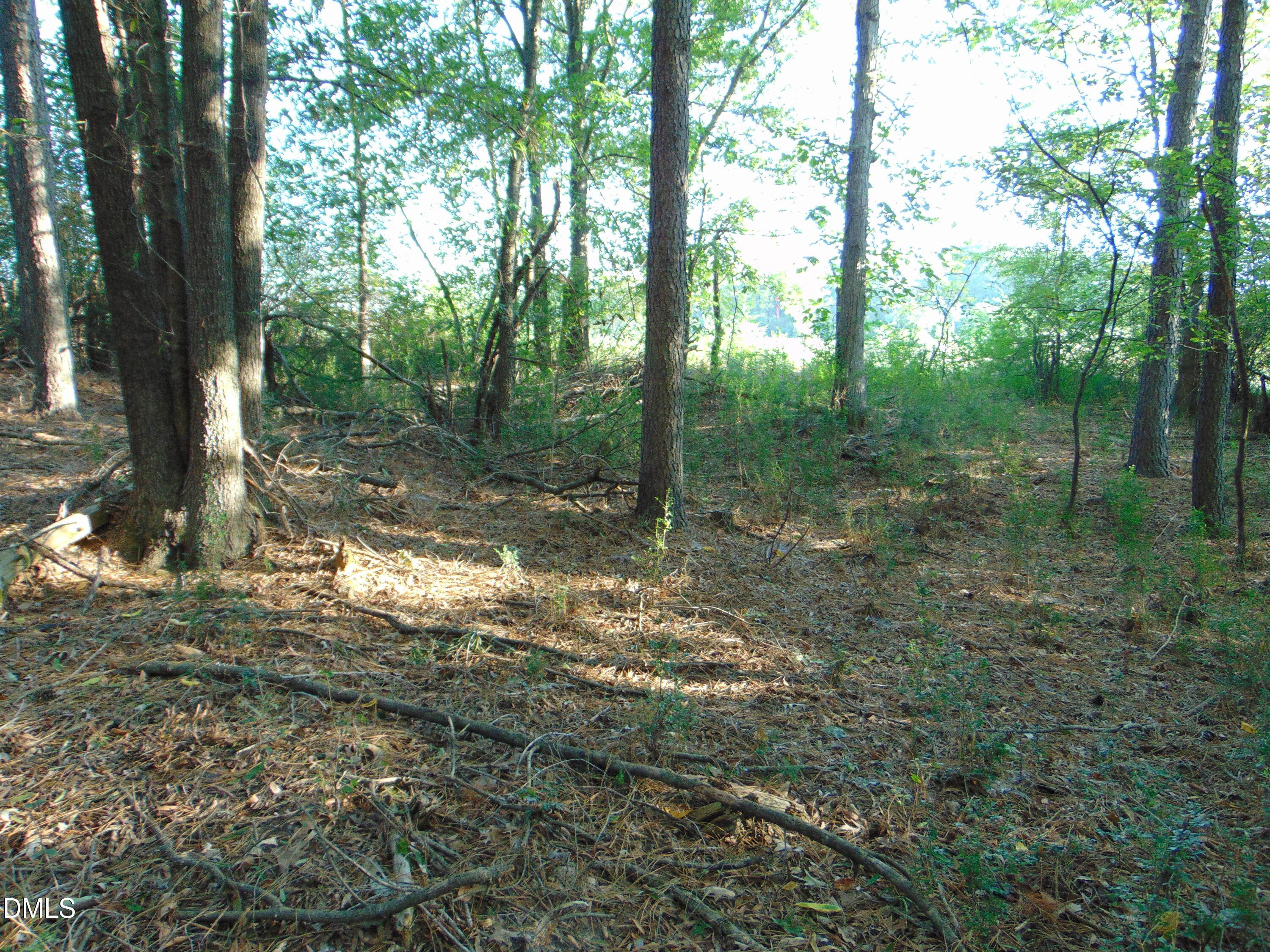 0 County Home Lot 1 Road Property Photo 13