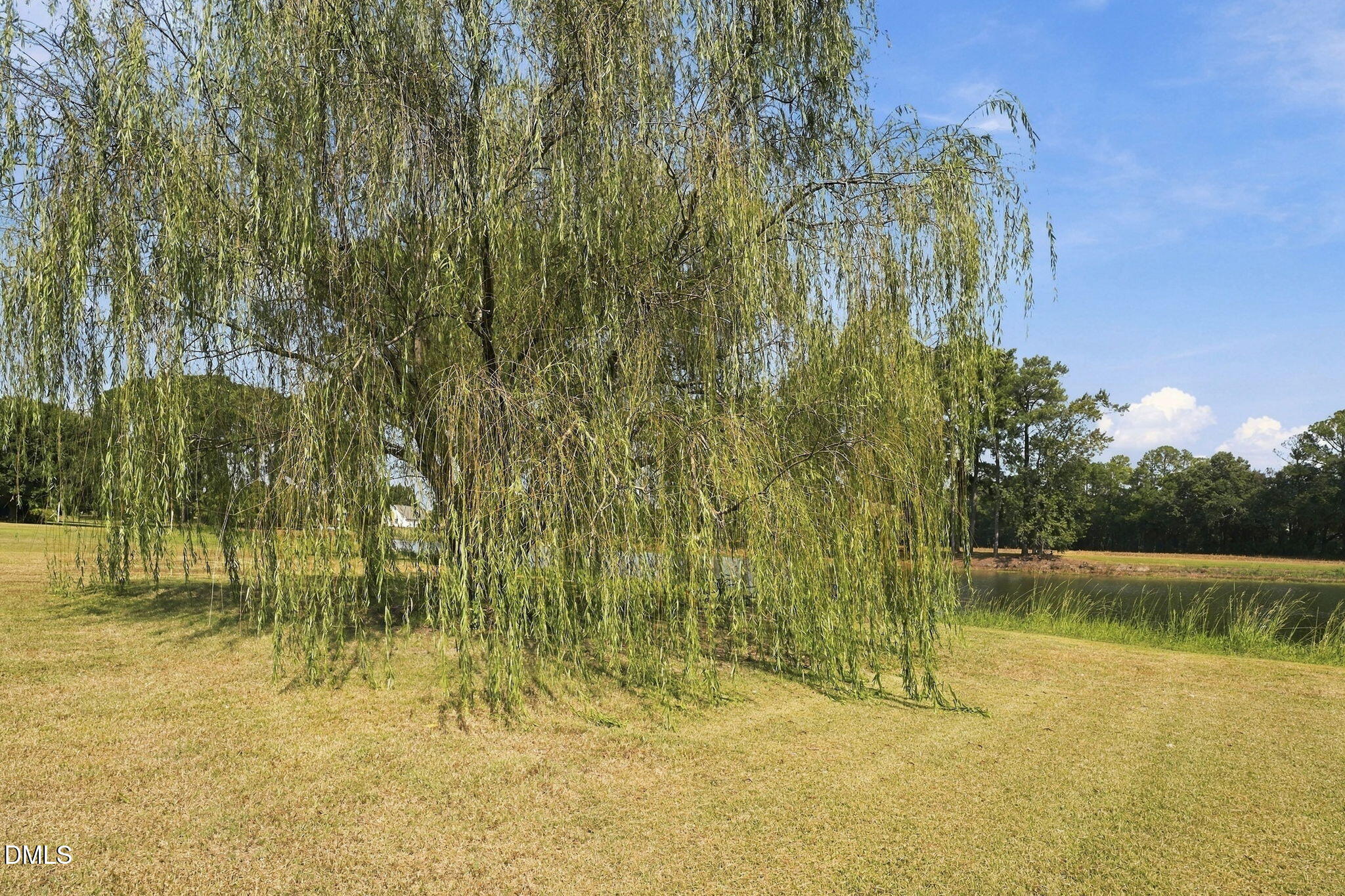 1870 Sheldon Road Property Photo 23