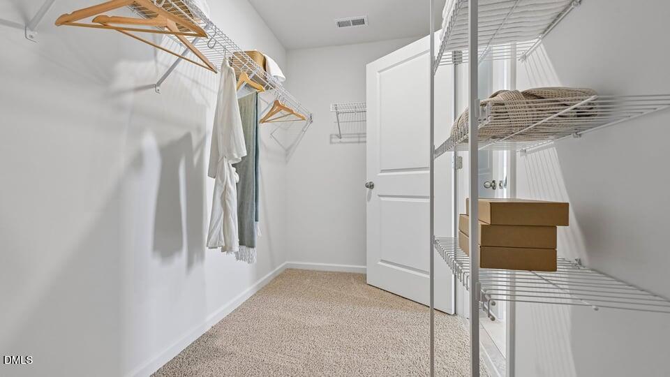 1133 Pavo Path Property Photo 30