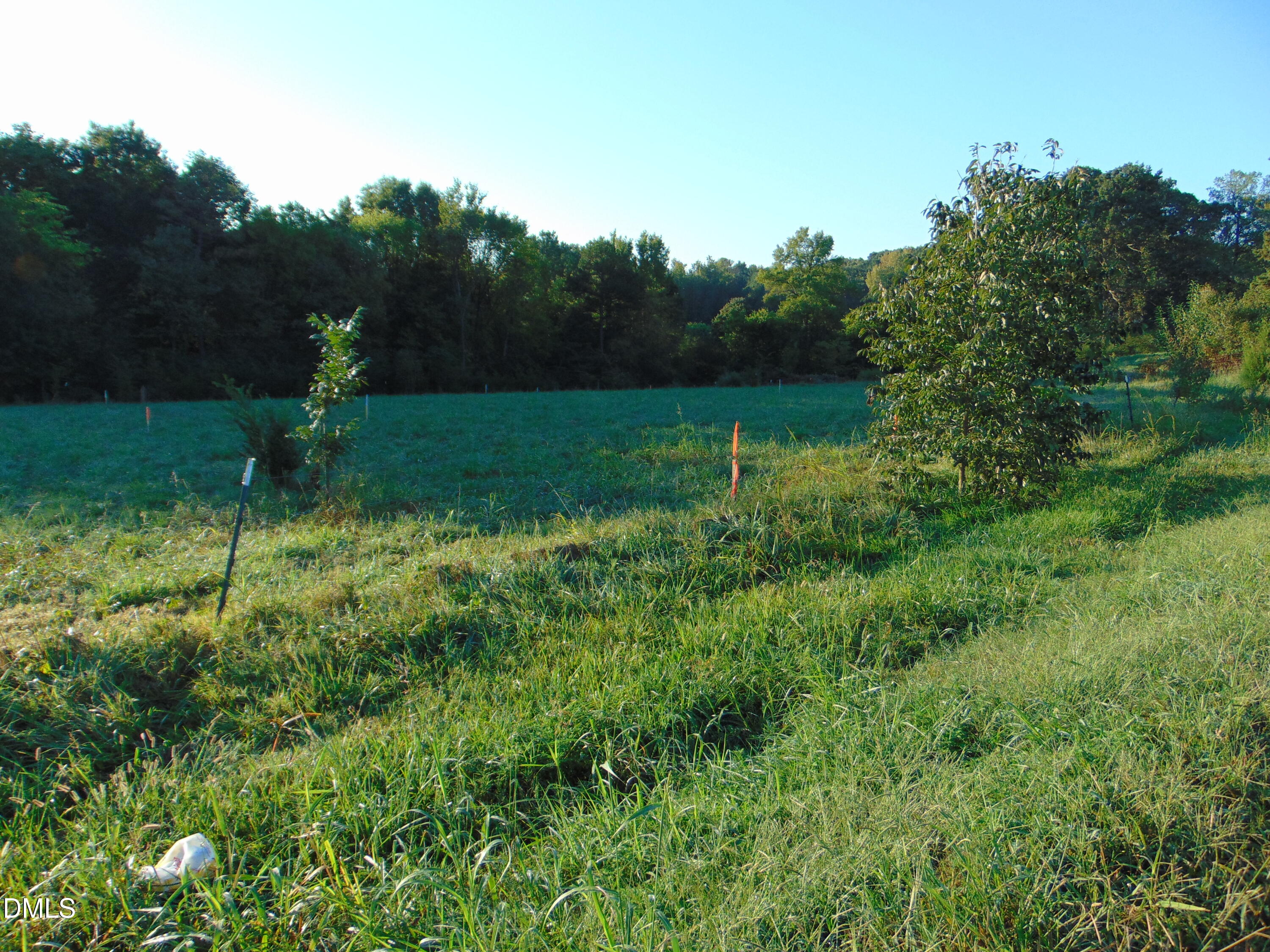 0 County Home Road Lot 3 Property Photo 6