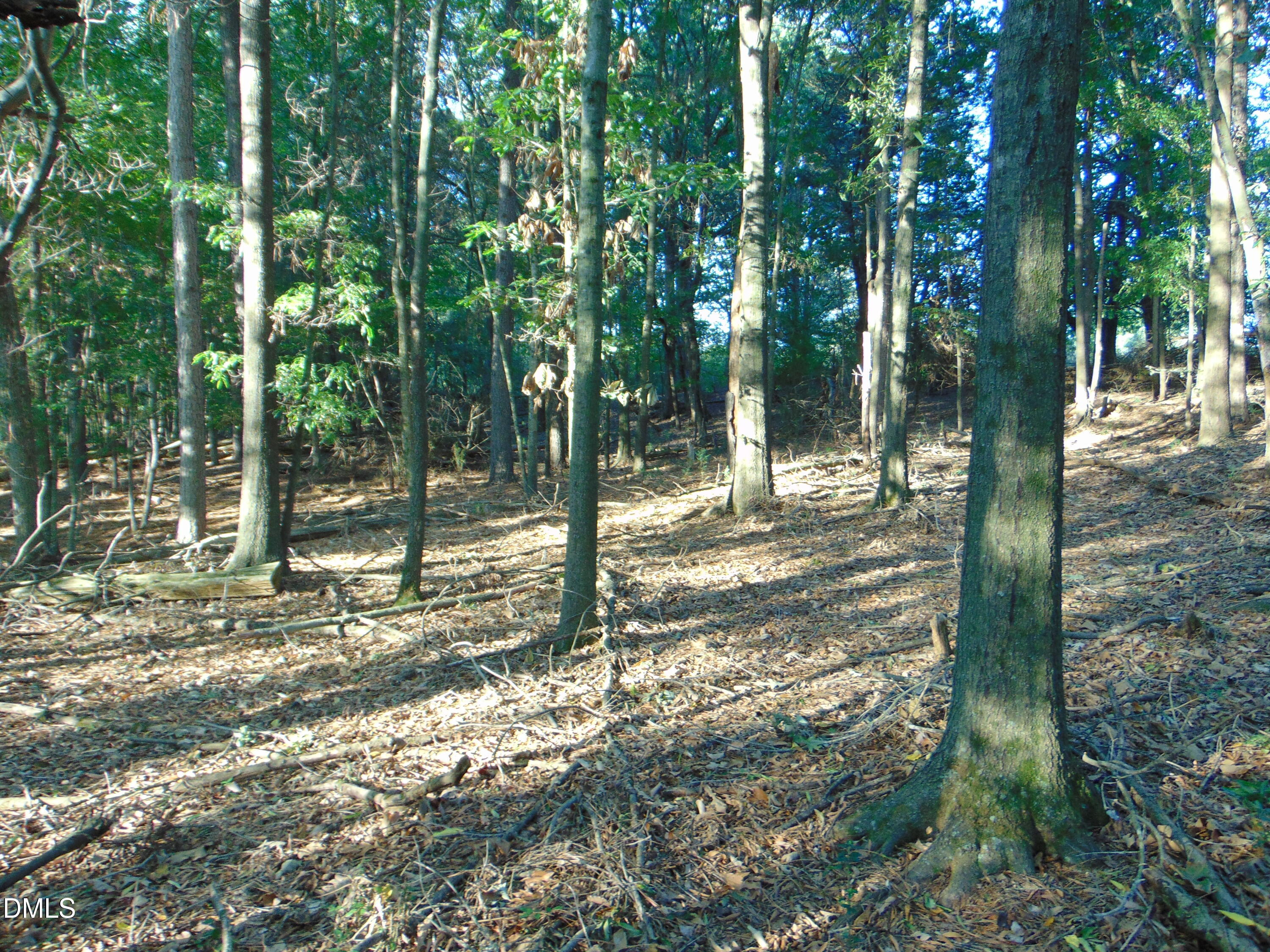 0 County Home Road Lot 3 Property Photo 10