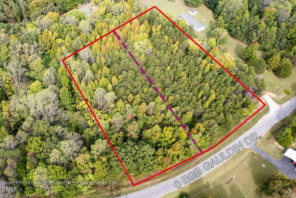 0 Bob Gauldin Drive Property Photo 1