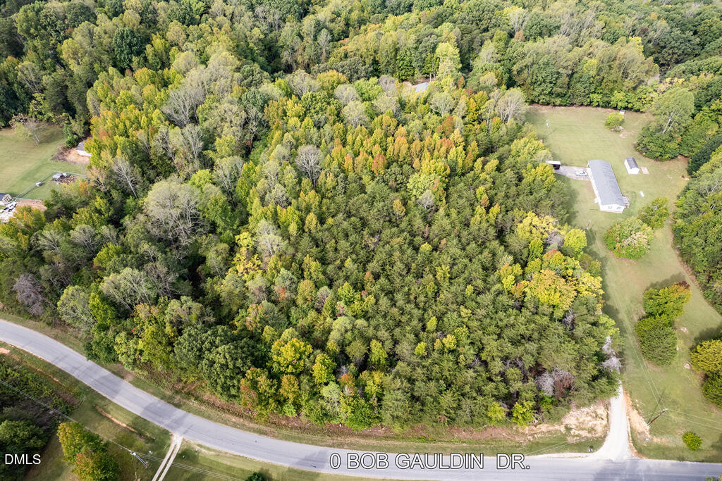0 Bob Gauldin Drive Property Photo 2