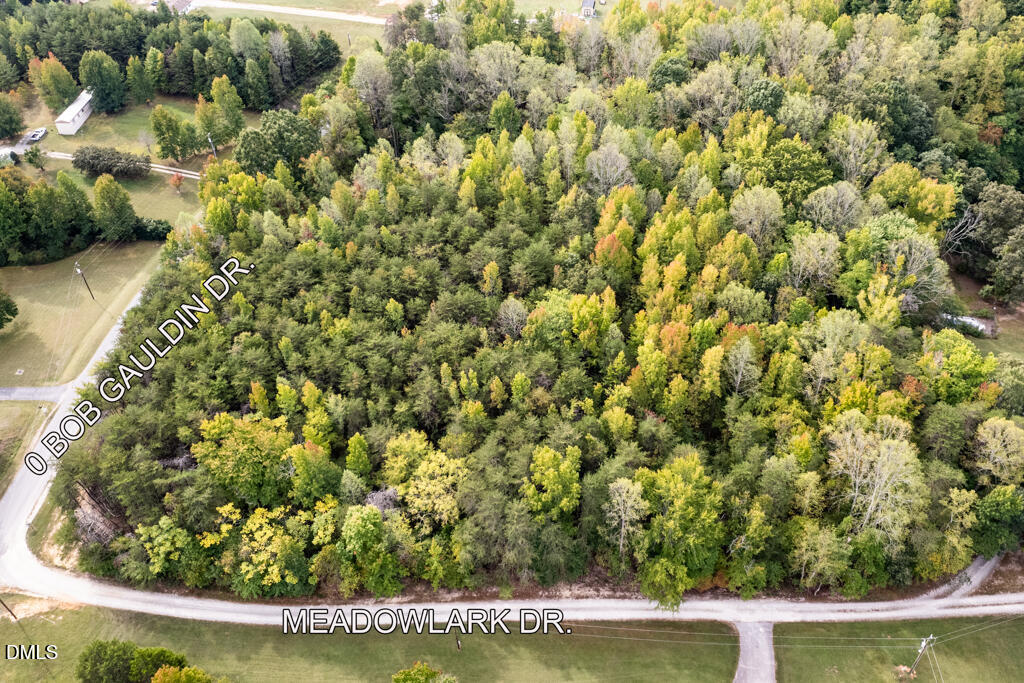 0 Bob Gauldin Drive Property Photo 3