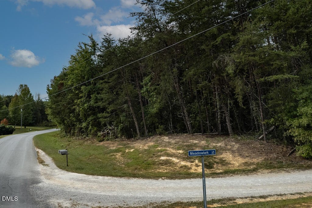 0 Bob Gauldin Drive Property Photo 8