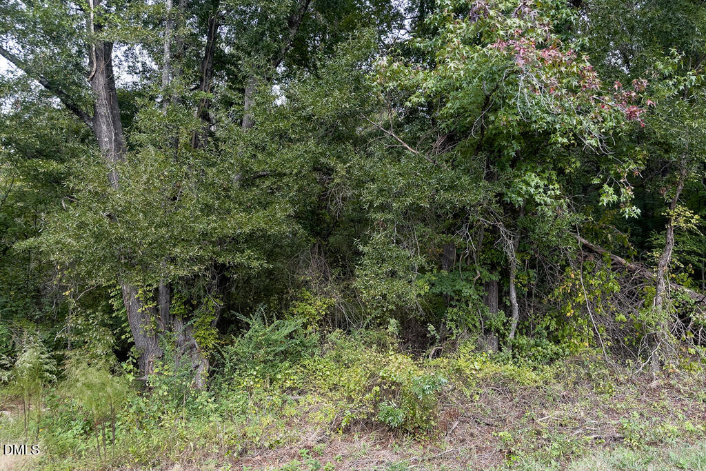 0 Bob Gauldin Drive Property Photo 16