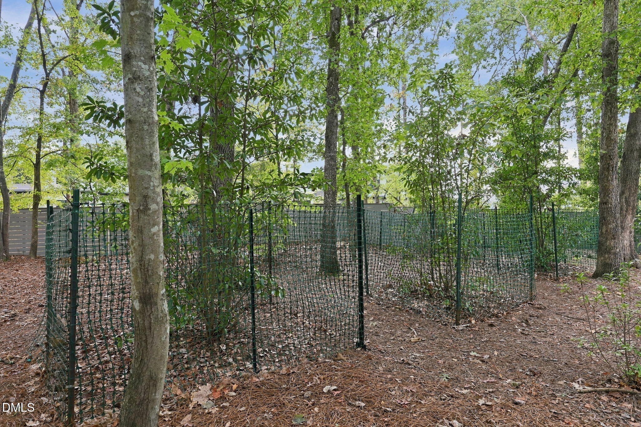 203 Huntington Drive Property Photo 52