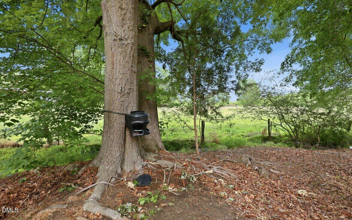 648 Rockbank Loop Property Photo 11