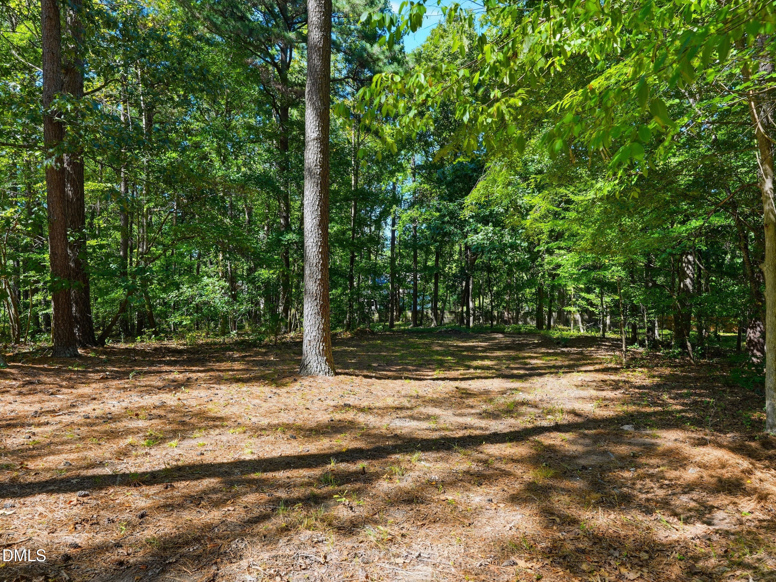 123 Harmony Hill Lane Property Photo 63