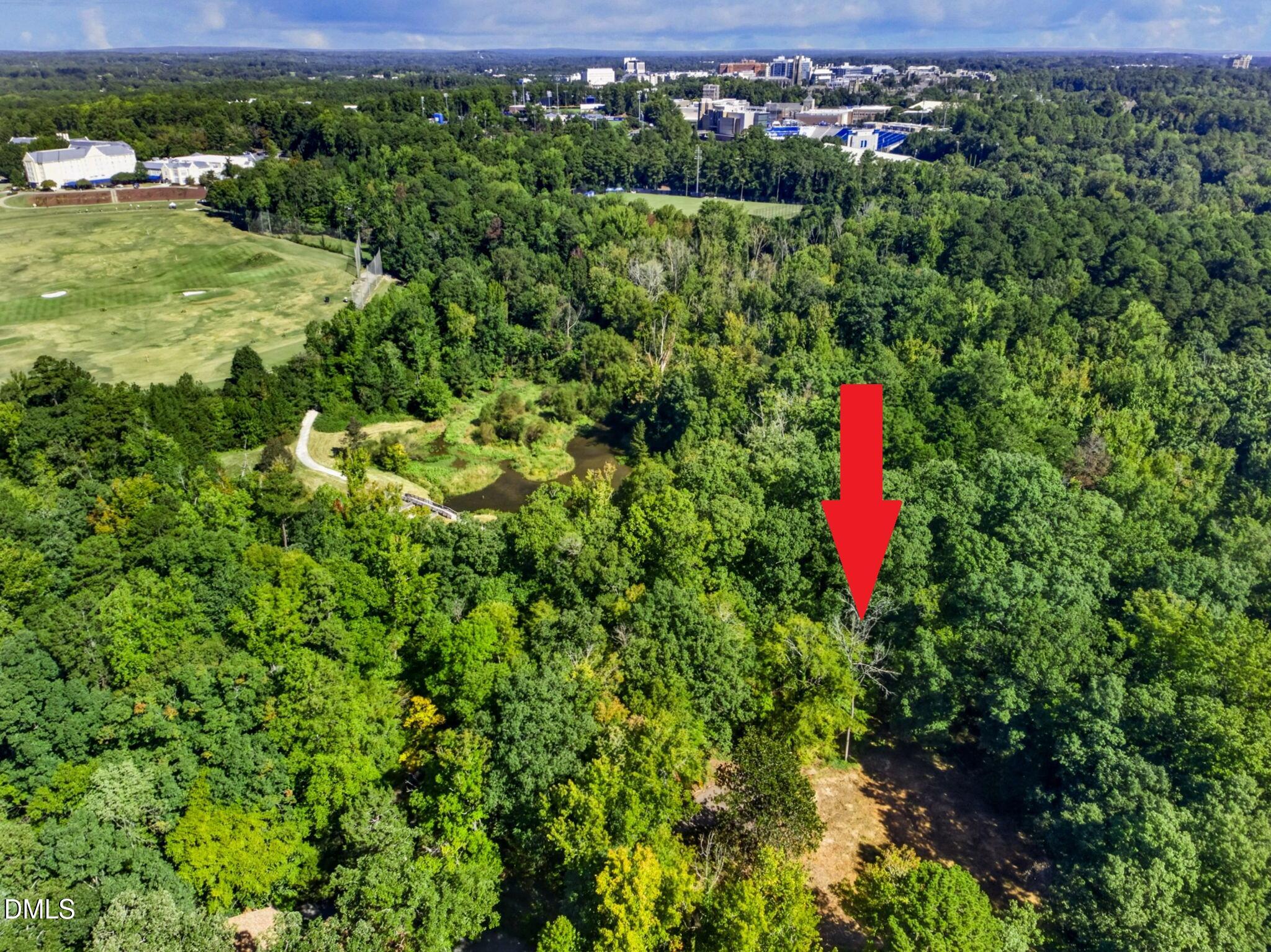1516 Pinecrest Road Property Photo 4
